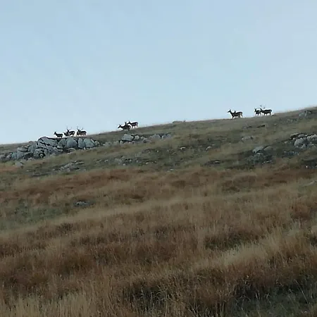 Ponte Rio Bed & Breakfast 3*