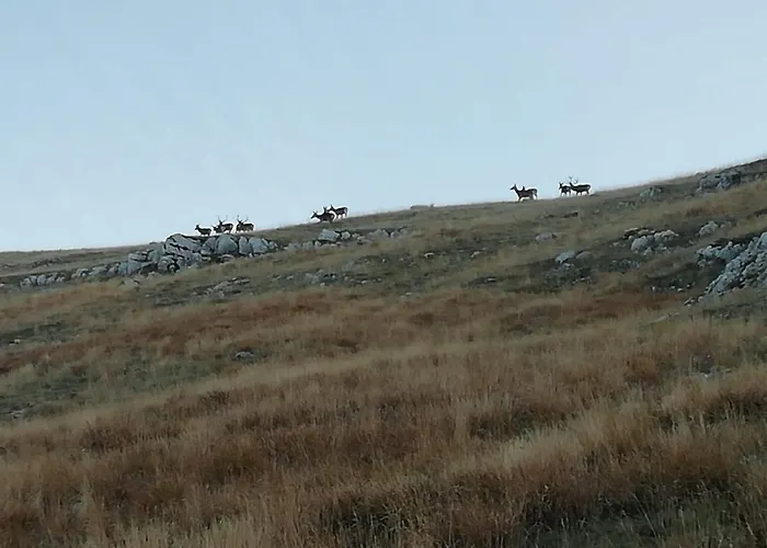 Ponte Rio Panzió 3*